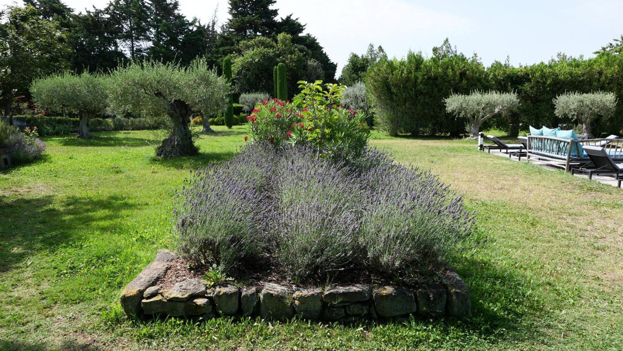 Superbe Mas Provençal 600m2 avec une Superbe Piscine Chauffée et très grand jardin 9000m2, situé au cœur du Luberon en campagne proche de L'Isle sur la Sorgue, 12 personnes, LS2-17 FIGNOULADO Clavaillan Exterior foto