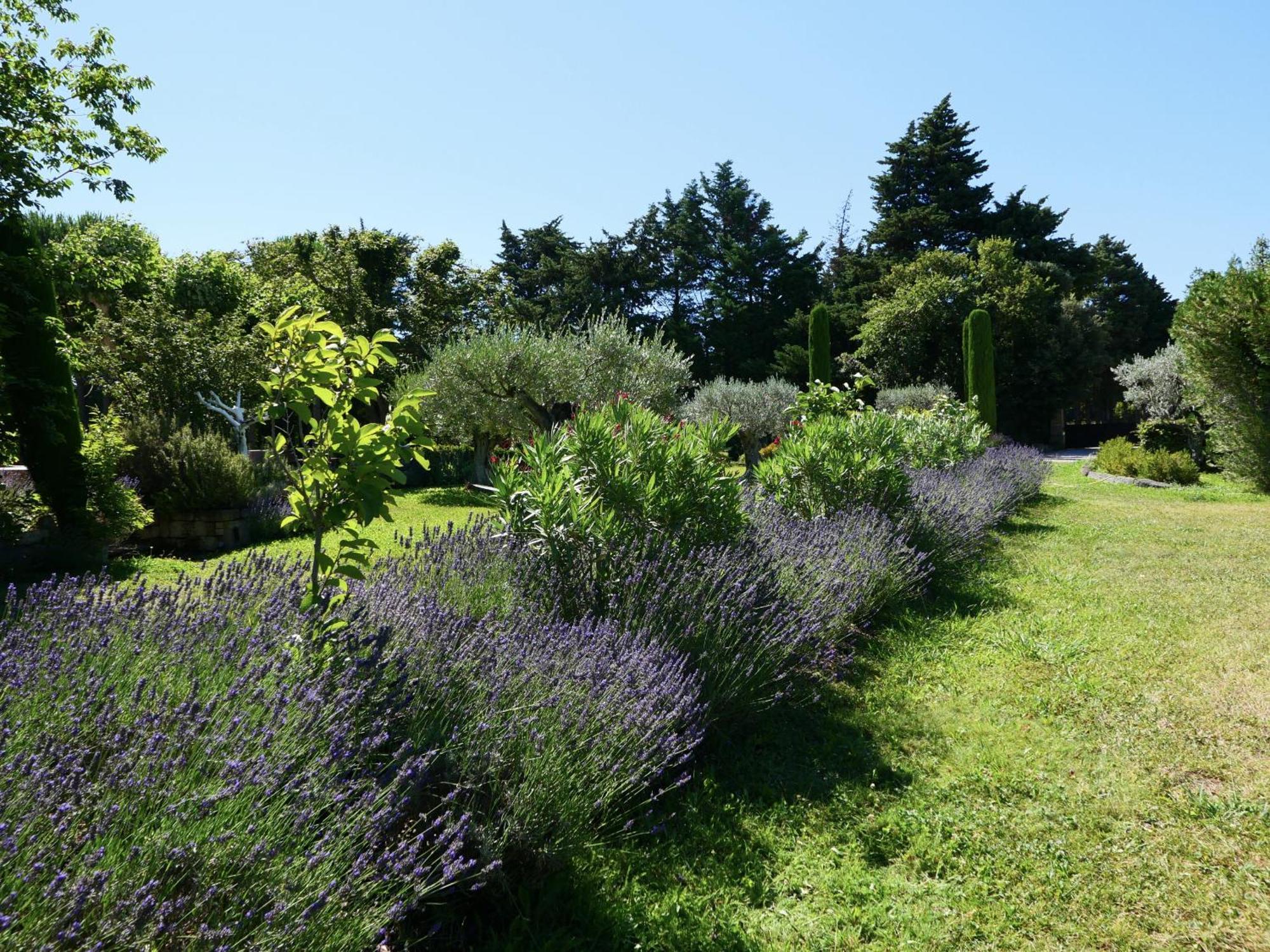 Superbe Mas Provençal 600m2 avec une Superbe Piscine Chauffée et très grand jardin 9000m2, situé au cœur du Luberon en campagne proche de L'Isle sur la Sorgue, 12 personnes, LS2-17 FIGNOULADO Clavaillan Exterior foto
