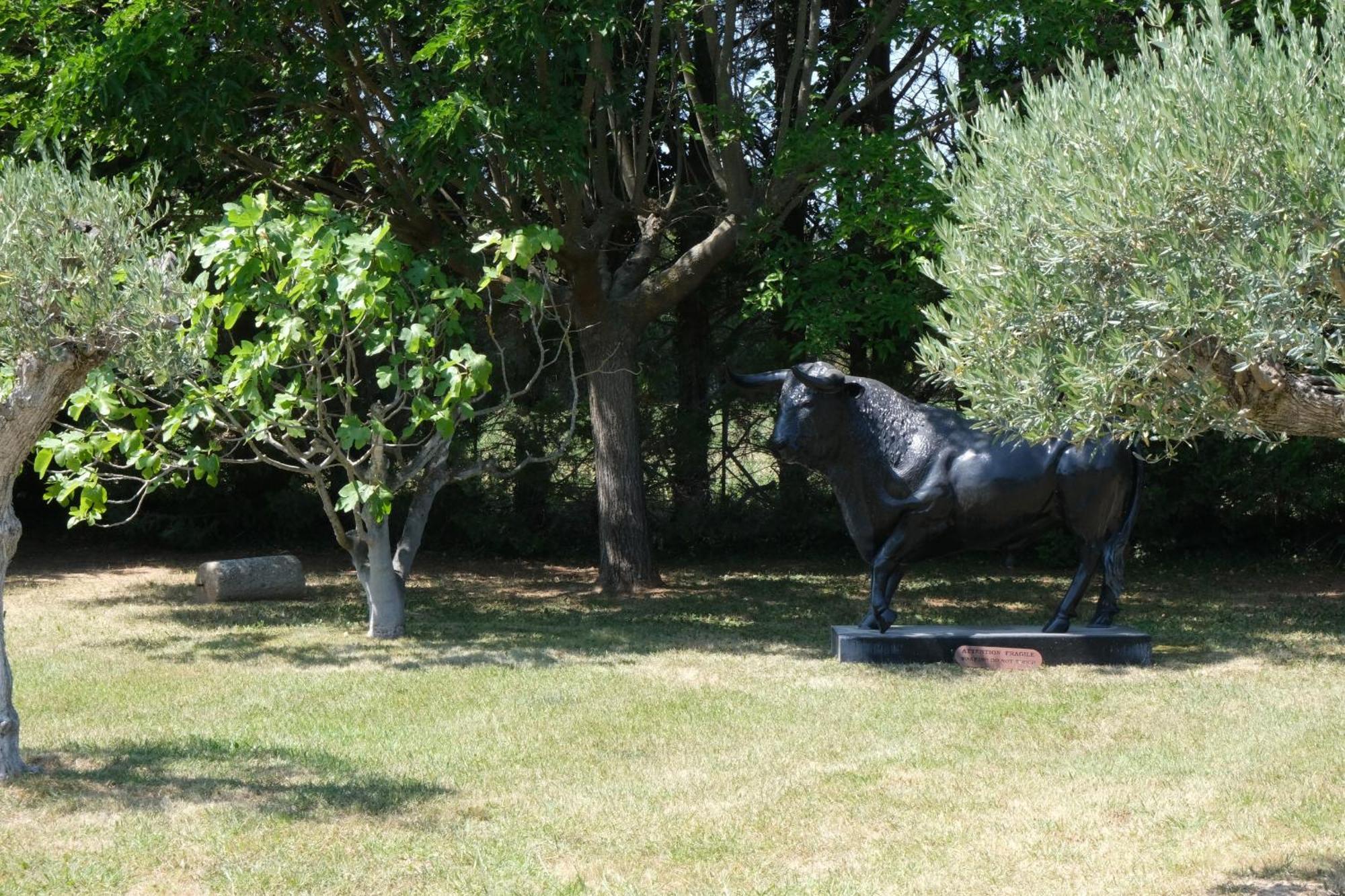 Superbe Mas Provençal 600m2 avec une Superbe Piscine Chauffée et très grand jardin 9000m2, situé au cœur du Luberon en campagne proche de L'Isle sur la Sorgue, 12 personnes, LS2-17 FIGNOULADO Clavaillan Exterior foto